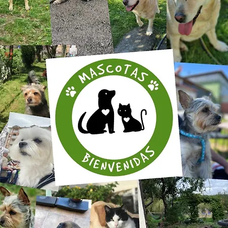 Primera Linea Playa. Front.garaje Incluido *